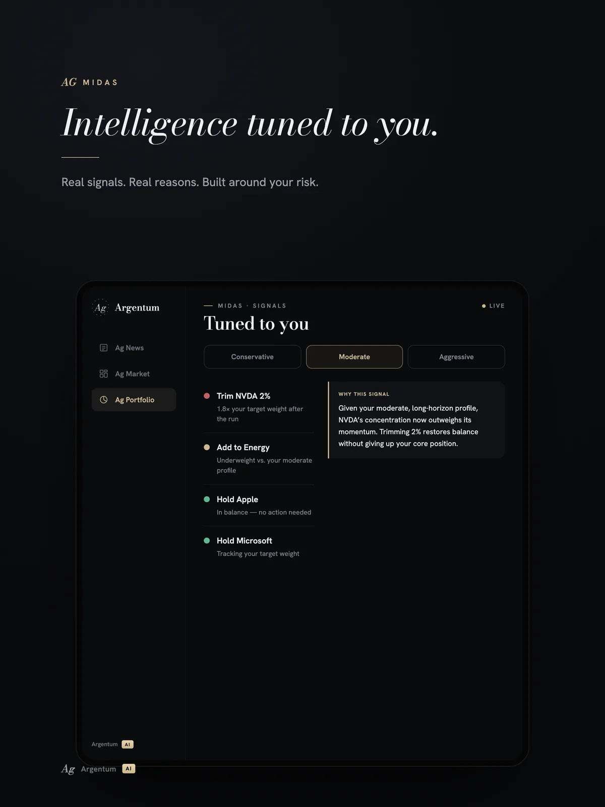 Argentum Ai on iPad — MIDAS analysis tuned to your risk profile